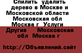 Спилить, удалить дерево в Москве и Московской области - Московская обл., Москва г. Услуги » Другие   . Московская обл.,Москва г.